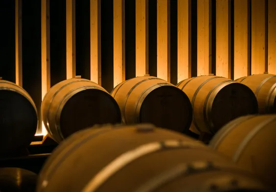 Marques de Vargas (4)