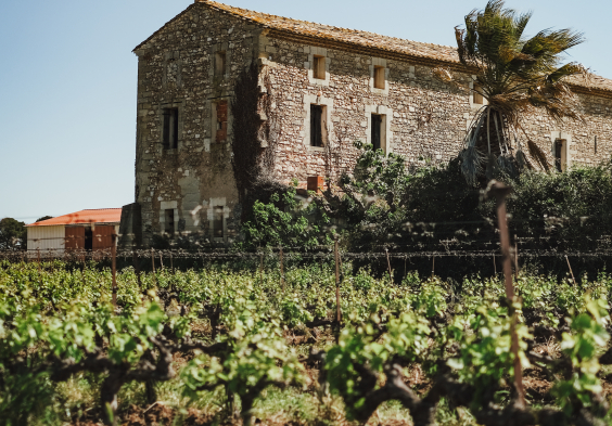 Mas Magnan Weingut