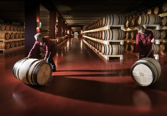 Poli Distillerie cellars 1