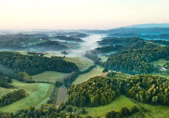 Tement Landschaft 1