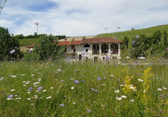 Val del Prete Weingarten Berguenung