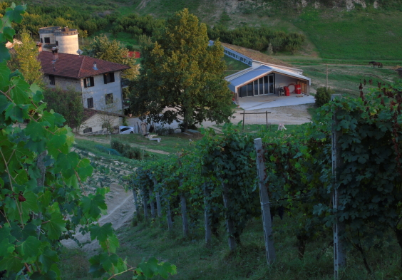 Val del Prete Weingarten Weingut
