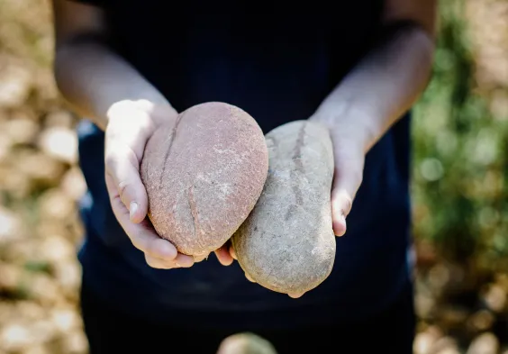 WEB CLOS DU CAILLOU 101