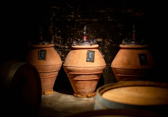 WEB CLOS DU CAILLOU 90