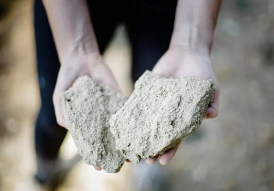 WEB CLOS DU CAILLOU 99