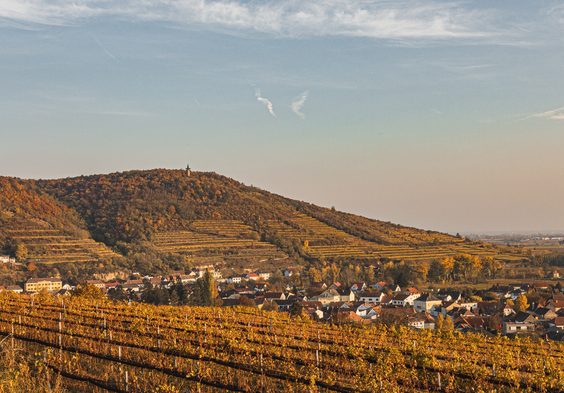 Leindl Kogelberg Blick auf den Heiligenstein im Herbst