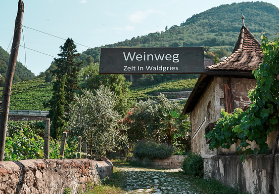 Waldgries Weinweg