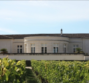 Elegantes Herrenhaus mit roten Dachziegeln hinter einem üppigen Weinberg.