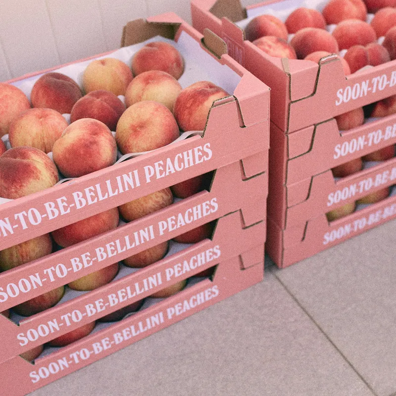 canella soon to be bellini