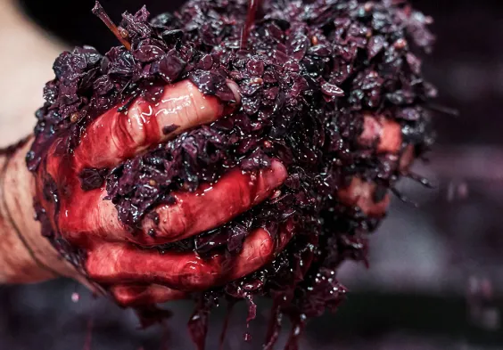 gager maische 2 2023