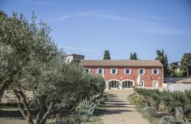 Rotes Landhaus mit Tonziegeldach, umgeben von Olivenbäumen, unter klarem blauem Himmel.