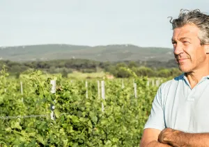Mann im grünen Weinberg mit verschränkten Armen, im Hintergrund Hügel.