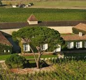 Luftaufnahme eines Weinguts mit umliegenden Feldern und zentraler großer Baum.