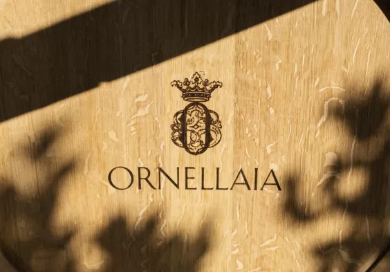 ornellaia (6)
