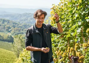 Mann im Weinberg, hält Trauben, sonnige Landschaft im Hintergrund.