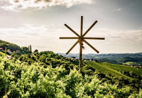 Holzkonstruktion in sonnenbeschienenem Weinberg mit malerischem Hintergrund.