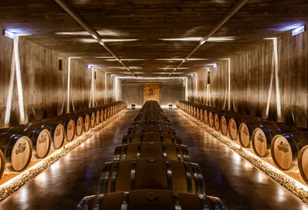 Teaser Rioja