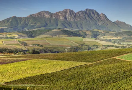 Teaser Suedafrika