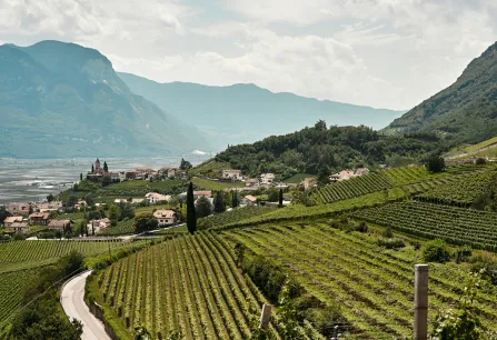Teaser Suedtirol