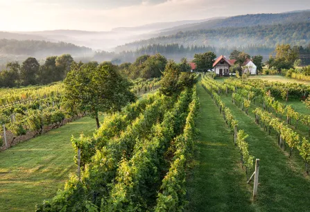 teaser suedburgenland