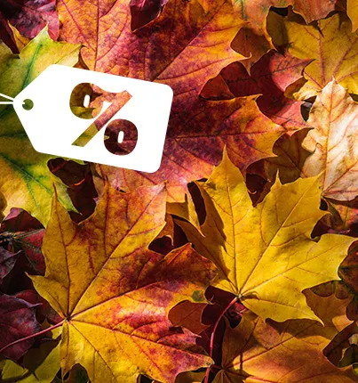 Bunte Herbstblätter mit weißem Schildmotiv auf einem lebendigen Hintergrund.