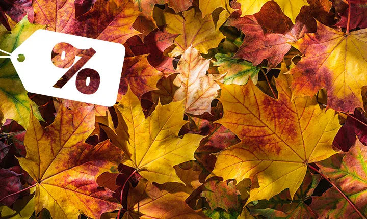 Herbstliche bunte Blätter mit einem weißen Rabatt-Schild im Vordergrund.