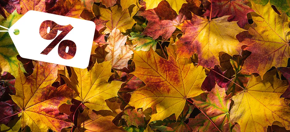 Herbstliche Ahornblätter in Gelb-, Rot- und Brauntönen mit Prozent-Schild.