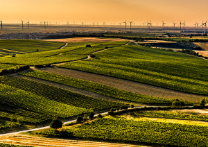 Teaser Desktop Carnuntum 2025 05