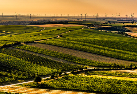 Teaser Desktop Carnuntum 2025 05