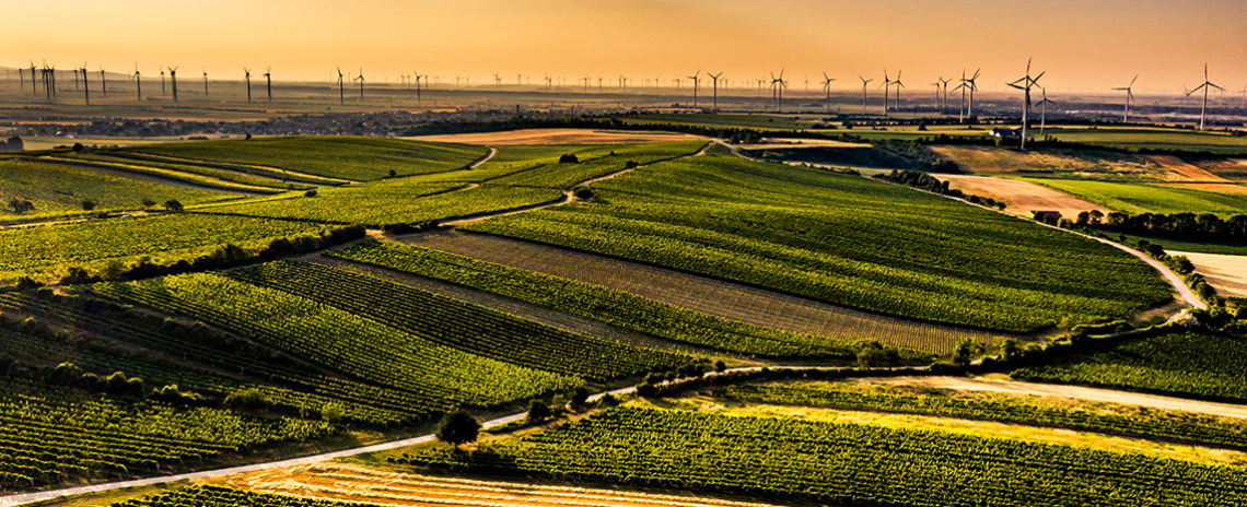 Teaser Desktop Carnuntum 2025 05