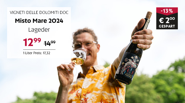 Faszinationselement Desktop Insiderstoff mit 2025 08 v2