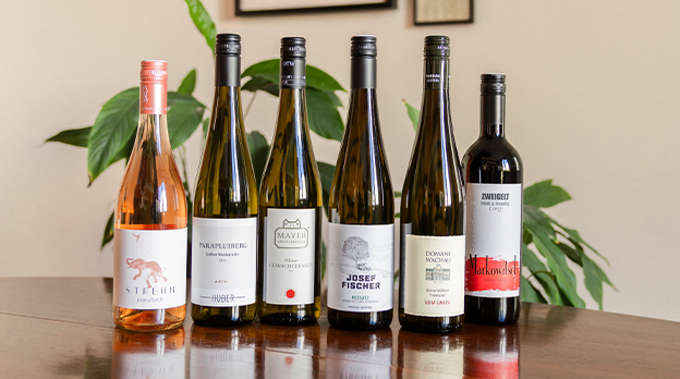 Faszinationselement 624x348 Set2025Bestseller