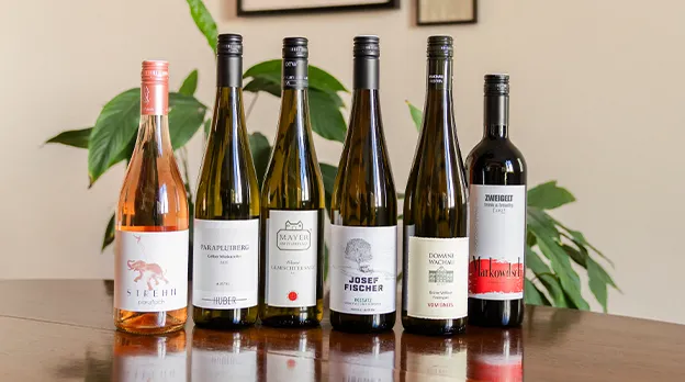 Faszinationselement 624x348 Set2025Bestseller