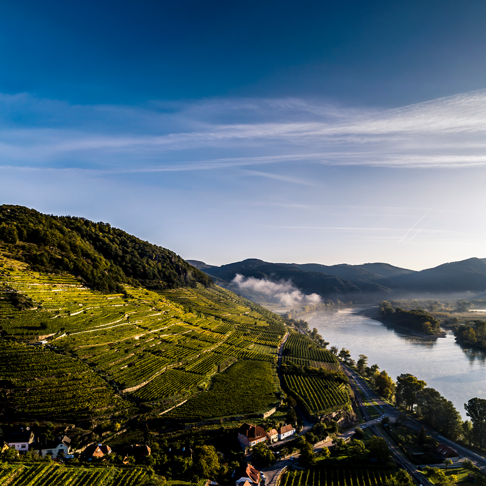 Faszinationselement 1000x1000 Wachau