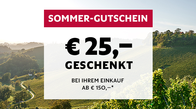 Faszinationselement Desktop Sommergutschein 2026 07