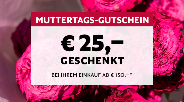 Faszinationselement Desktop muttertag 2025 08